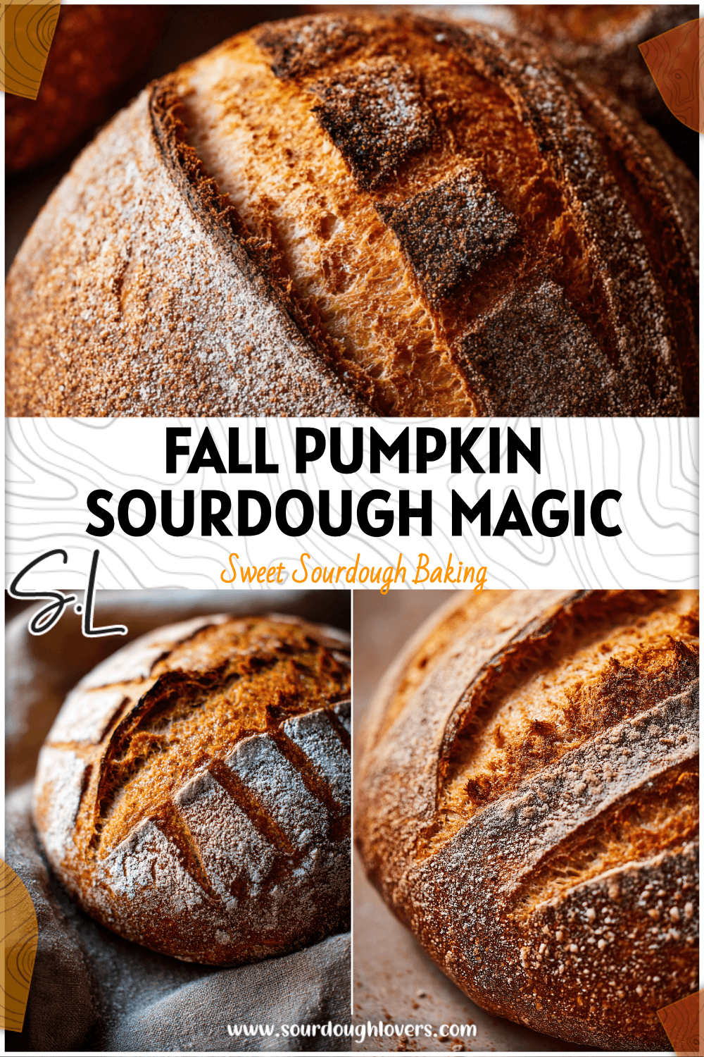 Rustic pumpkin cinnamon sugar sourdough loaf with deep scoring and a warm golden crust. 2026